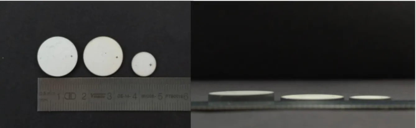 Figure 4.18 - Piezoelectric  samples of PIC181, diameters of 10 mm, and 16 mm (vertical view on left side), thickness 1 mm,  and 2 mm (lateral view on the right side).