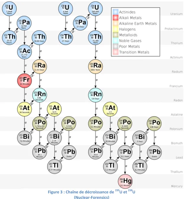 Figure 3 : Chaîne de décroissance de  235 U et  238 U  (Nuclear-Forensics) 