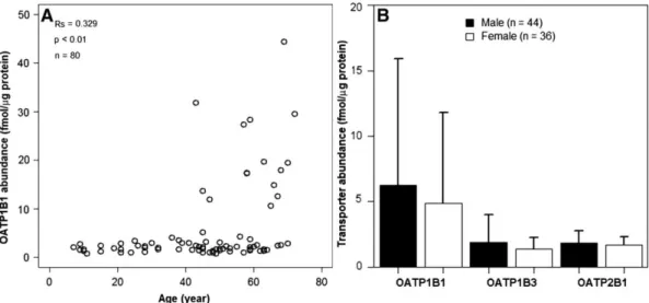 Figure 8 : Influence de l’âge et du sexe sur l’expression tissulaire des OATP dans le  foie