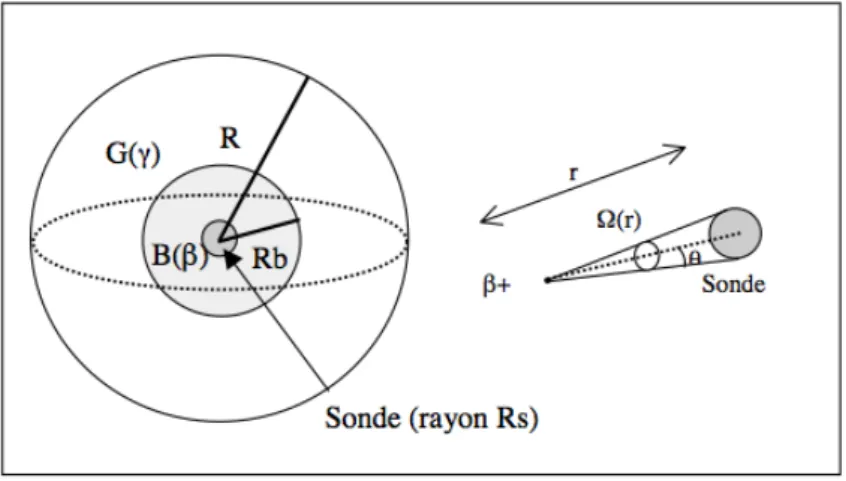 Figure 3. Géométrie considérée pour le calcul analytique du rapport entre le signal b et le bruit g 