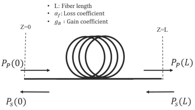 Figure 2.4: Schematics of the pump-probe method. P p and P s are the pump and Stokes powers respectively.