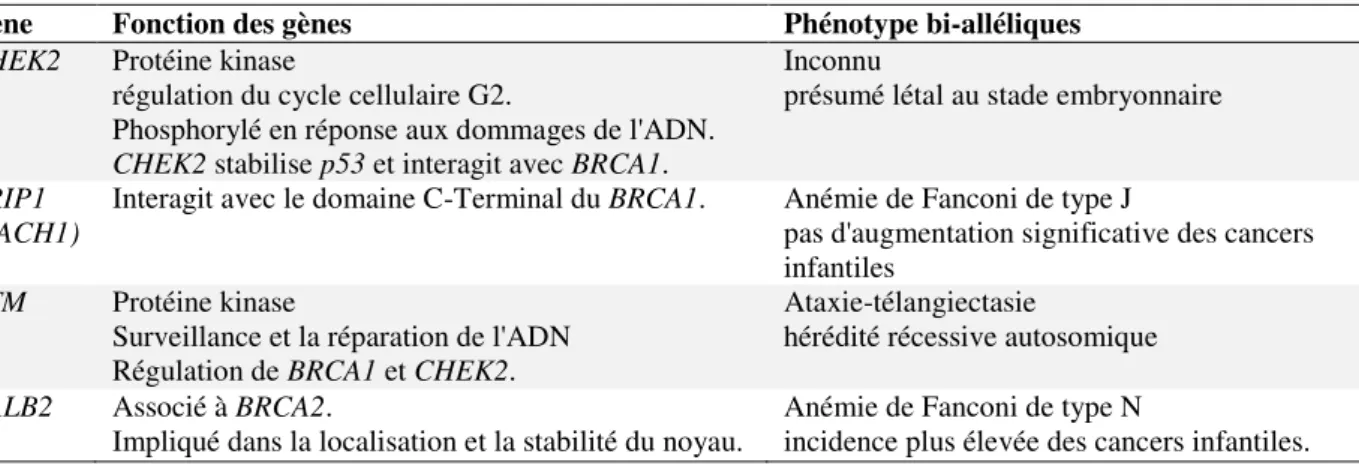Tableau  2 :  les  gènes  de  pénétrance  modérée  du  cancer  du  sein,  leurs  fonctions  et  leurs  phénotypes connus 