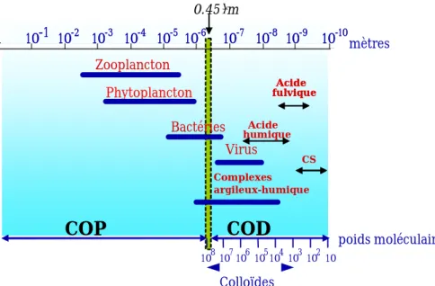 Fig. 1. Diagramme montrant la granulométrie des principaux constituants de la matière  organique contenue dans les eaux naturelles