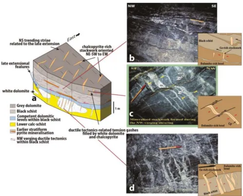 Figure 9. (a) Illustrations of the Ifri Cu mine model showing some images of the Cu-rich stockwork formed in response of ductile decollement within black schist