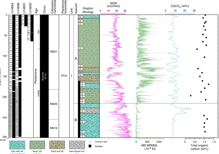 Figure F15. Summary of Site U1485 results. NGR = natural gamma radiation, MS = magnetic susceptibility, WRMSL = Whole-Round Multisensor Logger