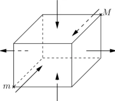 Figure 3: A 3-dimensional rectangle with a symmetrical transverse pattern. The faces F 1 ± are outgoing and the other faces are incoming (ie p = 1).