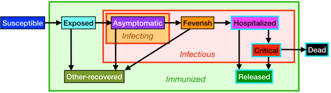 Figure 5: Illustration of the SEAFHCDRO model, with same comments as in Fig. 4. Only the Asymptomatics effectively infect the Susceptibles.