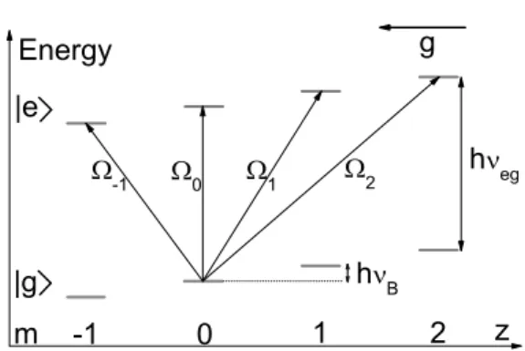 FIG. 1: Wannier-Stark ladder of states and couplings between states by the probe laser