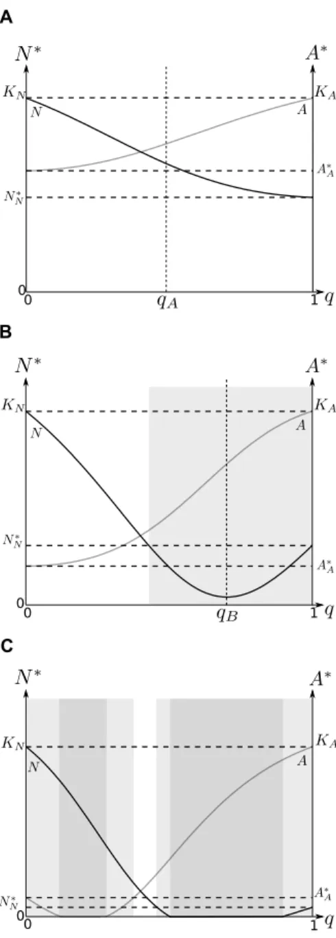 Figure 1. Dependence of N ∗ and A ∗ on q. N ∗ and A ∗ are the densities of the primary prey and alternative prey at equilibrium, and are represented by black and gray curves, respectively