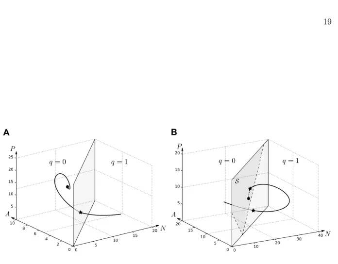 Figure 2. Evolution of the one-predator–two-prey system with adaptive preference. Most parameters are identical in all two subplots (r N = 12, r A = 15, r P = 12; λ N = 1, λ A = 1; α N = 0.5, α A = 1)
