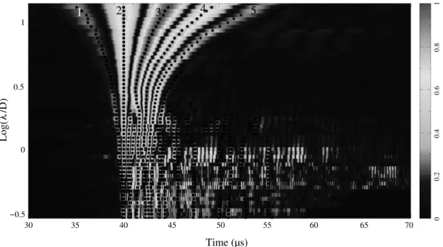 Fig. 4. Modulus of the composite experimental wavelet response rescaled for glass beads with D = 1 mm (see text for details)