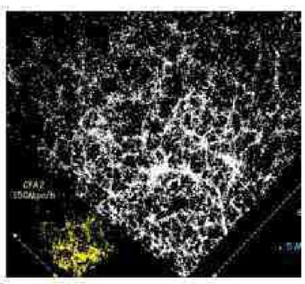 Fig. 9. Comparison between the first public data release of SDSS and CFA2