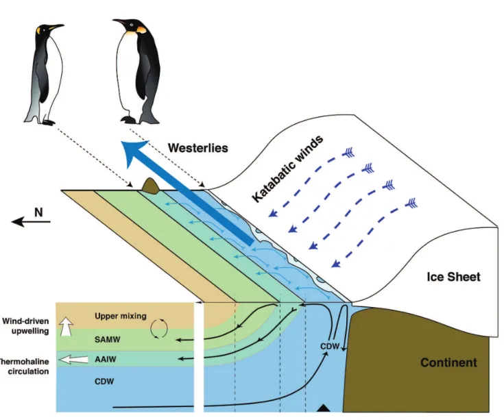 Figure  2  |  Structure  of  water  masses  in  the  Southern  Ocean.  Main layers of the Southern Ocean: