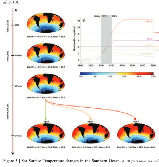 Figure 5 | Sea Surface Temperature changes in the Southern Ocean. A. 20-years mean sea surface temperature at four di ff erent time-points (from a 14-member ensemble, see §102 p