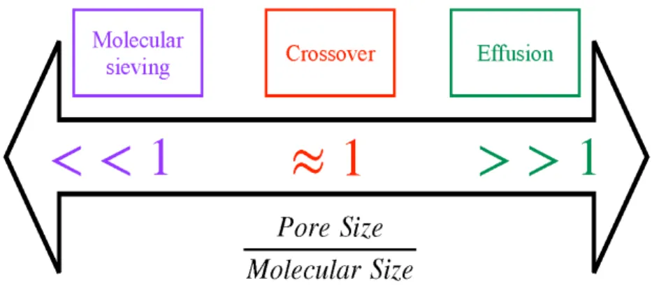 Figure 1.7: Molecular diffusion regime according to the ratio between pore size and molecular size (a) yzx(b) 5.5Å7.8Å Pore-16a Pore-24a5.6Å7.8ÅPore-13a(c)2.05nmPore-2nm(d)
