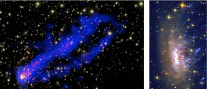 Figure   3.8     Left:   Composite   X-ray   Chandra   (blue)   /   Hα   (red)   image   of   Jelly-Fish   galaxy   ESO   137-001   in   the    Norma   cluster