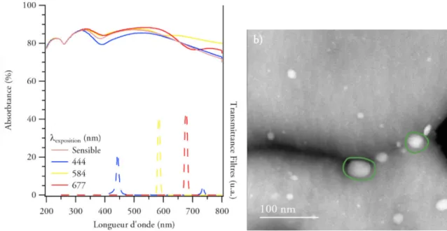 Figure 1.3: Left: Absorbance of silver chloride plates reproducing Becquerel’s process, prepared by Victor de Seauve