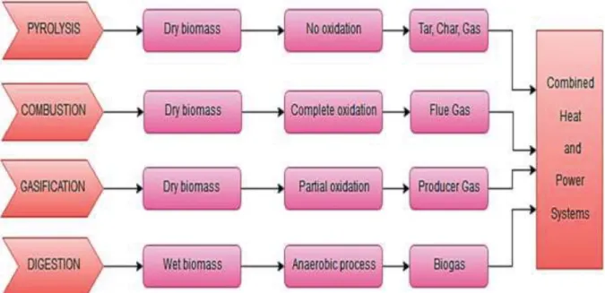 Figure 2.5: Power conversion technologies for biomass. Adopted from  Kamel et al. 