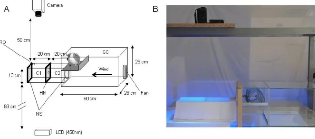 Figure S1: Panel A. A wind tunnel to study the ability of malaria vector mosquitoes to  pass through a holed net