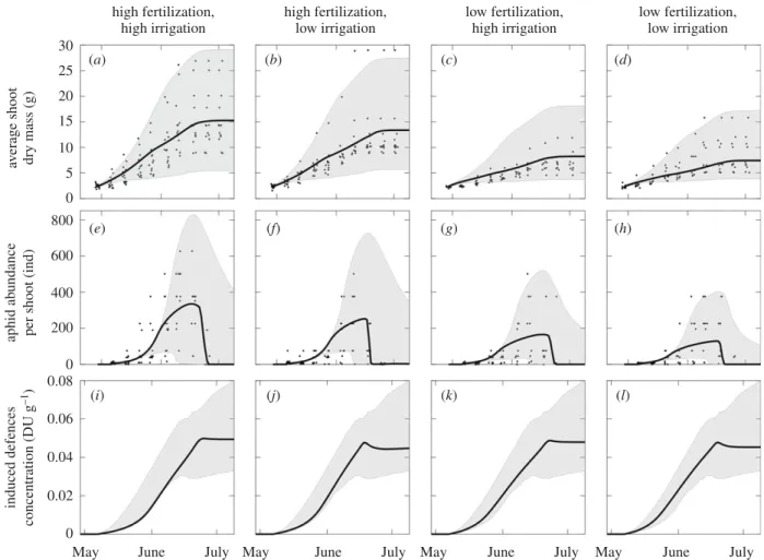 Figure 3. Observed (black points) and predicted (black lines) values of average shoot dry mass (a – d), average aphid abundance per shoot (e – h) and induced defences concentration (i – l) under different fertilization and irrigation treatments: high ferti