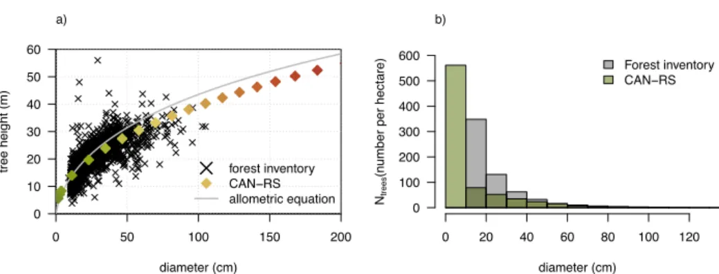 Figure  8.  Forest  structure  modelled  in  CAN-RS  compared  to  forest  inventory  data  over  non-disturbed  plots  at  Paracou (French Guiana), with (a) allometric relationship between tree diameter and tree height for the 20 simulated  diameter class