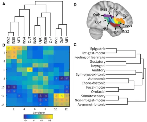 FIGURE 2  Correlation matrix between cortical areas and clinical features, as ordered by hierarchical clustering basing on their reciprocal  distance