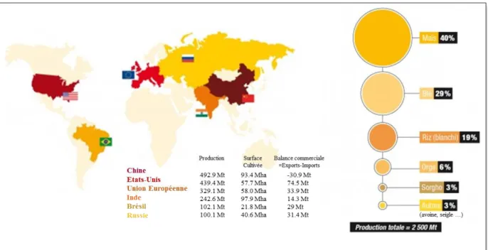 Figure  3.  La  céréaliculture  dans  le  monde  (FAOstat  et  USDA  campagne  2014-2015  (http://faostat.fao.org/)