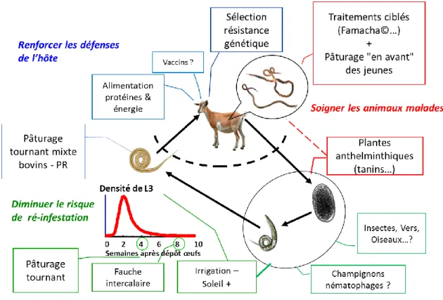 Figure 3. Schéma de lutte intégrée contre le parasitisme gastrointestinal (PGI ; Mahieu et al,  2009)