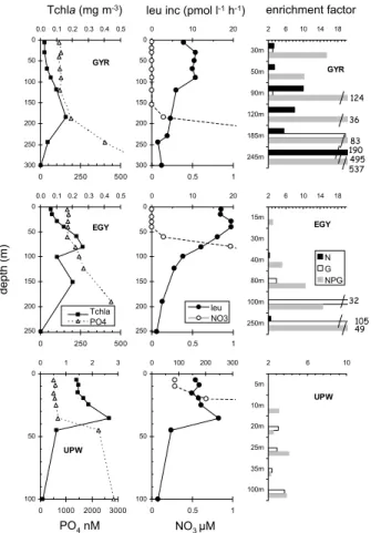 Fig. 5. Distribution of in situ chlorophyll a, leucine incorporation rates, nitrates and phosphates concentrations along vertical profiles, at sites GYR, EGY and UPW and responses to  bioas-says