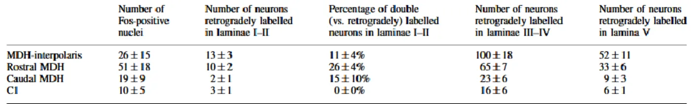 Table  1.  Rostrocaudal  and  lamina-specific  distribution  of  fos-like  immunoreactivity  and  retrograde labelling in the medullary dorsal horn of stimulated animals 
