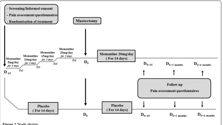 Table 1 Summary of evaluation for a patient