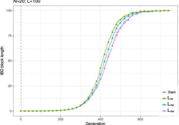 Figure 2.3 – Idem pour une longueur de chromosome de 100 Morgans.