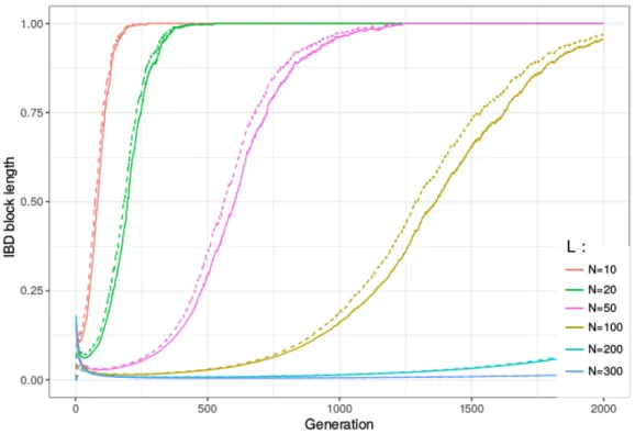 Figure 2.5 – Longueurs moyennes de blocs IBD au cours des générations selon les deux mesures L IW (en pointillé) et L AR (en ligne)