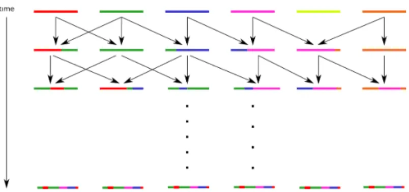 Figure 1: Wright-Fisher model with recombination