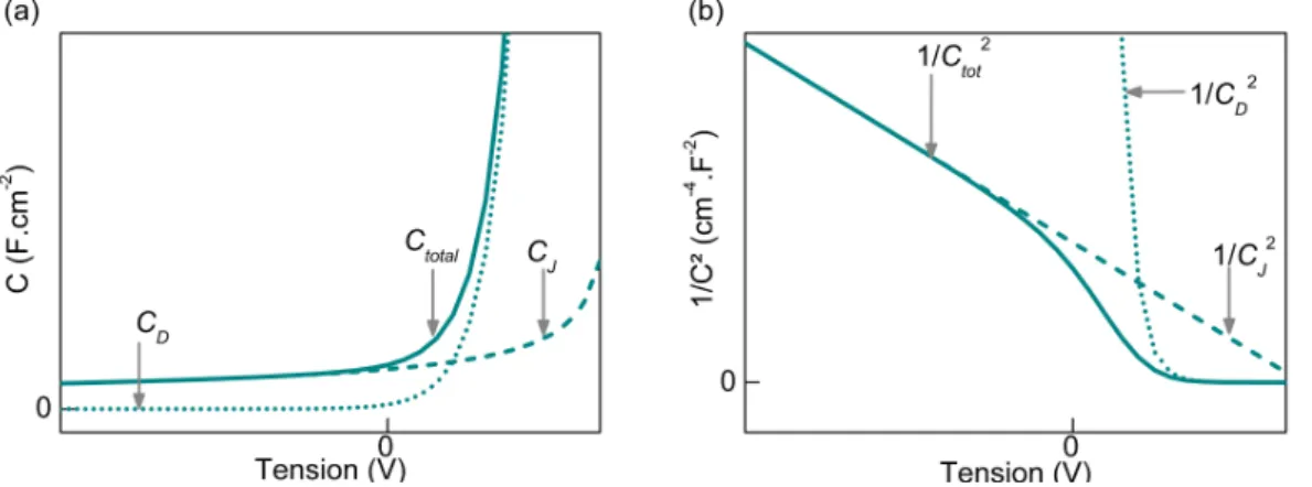 Fig. 2.8 – (a) Schéma illustrant les comportements des capacités de diffusion et de jonction en fonction de la tension et (b) schéma représentant les graphiques Mott-Schottky des mêmes grandeurs.