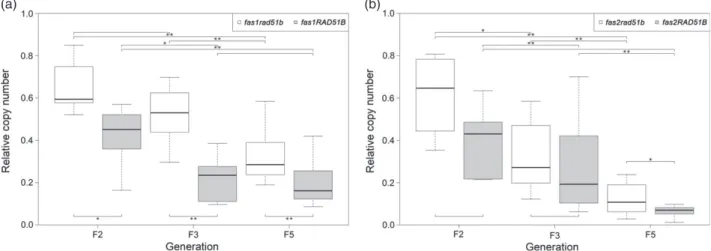 Figure 2. Loss of 45S rDNA repeats in fas1 (a) and fas2 (b) mutants with either functional or dysfunctional RAD51B gene.