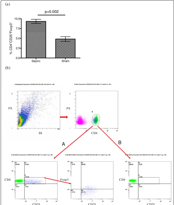 Figure 5 Sepsis increases Tregs percentage in mice. Twenty-four hours after caecal ligation and puncture (CLP), proportion of regulatory T lymphocytes (Treg) cells among splenocytes (CD4 + CD25 + Foxp3 + cells) is determined (n = 6 per group) (a)