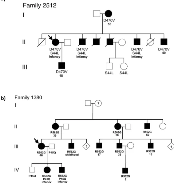 Figure 6. Familial segregation of SPAST intragenic modifiers (adapted from Svenson et al, 2004)