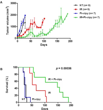 Figure 7.  Antitumor efficacy of Pt-ctpy in combination with radiation on SF763 xenografts