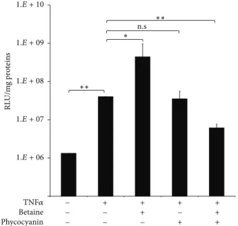 Figure 2: NF-