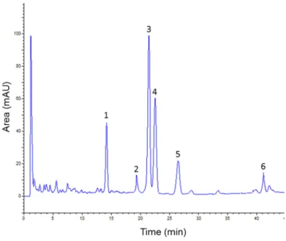 Figure 1. HPLC-UV profile of aqueous extract from Aloysia triphylla leaves with detection at 280 nm