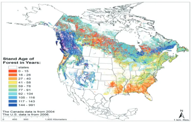 Figure 13. Map of stand age structure of US and Canada forests (data US Forest Service).