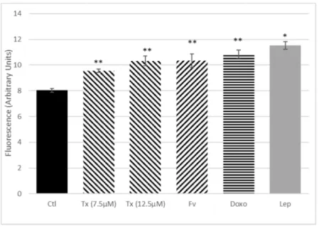 Figure 9. Effect of anticancer treatment, leptin, and Il-6 on the proliferation of isolated side-population  (SP) cells