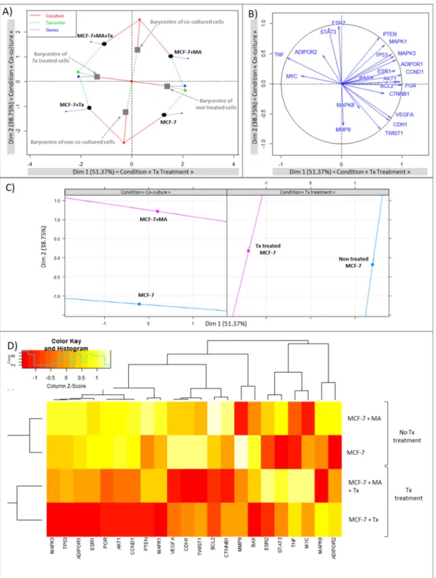 Figure 3. Multiple factor analysis leading to (A) individual factor map, (B) circle correlation, (C)  Multiple factor analysis resume, (D) heatmap with hierarchical clustering (red for under-expressed,  orange for unchanged expression, and white for over-e