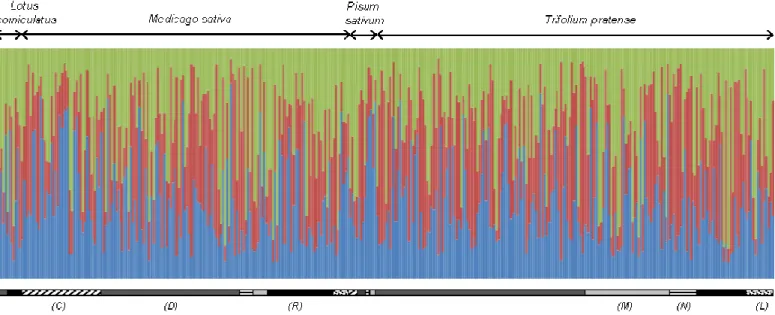 Figure  1.  Population  structure  of  A.  ervi.  Vertical  bars  represent  the  individuals  (genotypes  from  12  microsatellites)  and  colours  represent  the  proportion  of  assignment  to  clusters