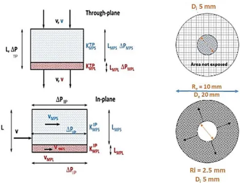 Figure 2.13 Schematic analysis for the through-plane and in-plane transports in GDLs used  here