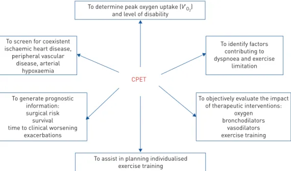 FIGURE 1 Clinical utility of cardiopulmonary exercise testing (CPET); reasons for addressing a subject to CPET