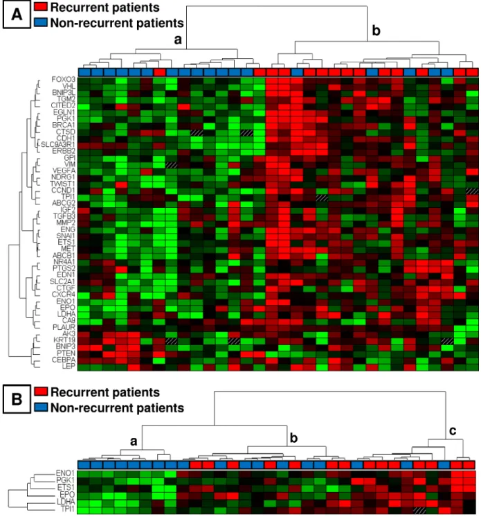 Fig 2. Profile of hypoxia-related gene expression in 32 tumors from patients with early-stage breast cancer