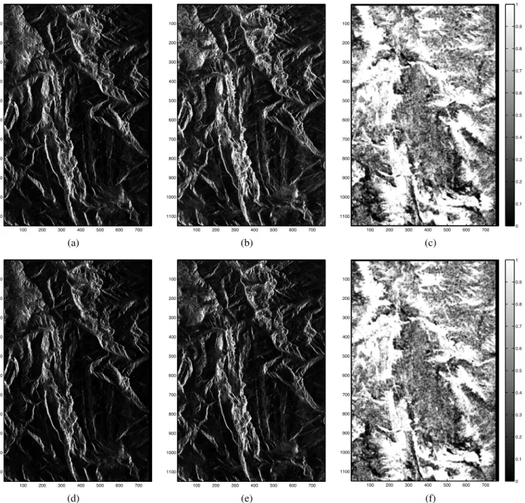 Fig. 7: TerraSAR-X, Grand Rousse, France, 1150x768 pixels: (a) HH slant range SAR image acquired on 08/02/2009; (b) HH slant range SAR image acquired on 02/03/2009; (c) HH slant range probability map; (d) VV slant range SAR image acquired