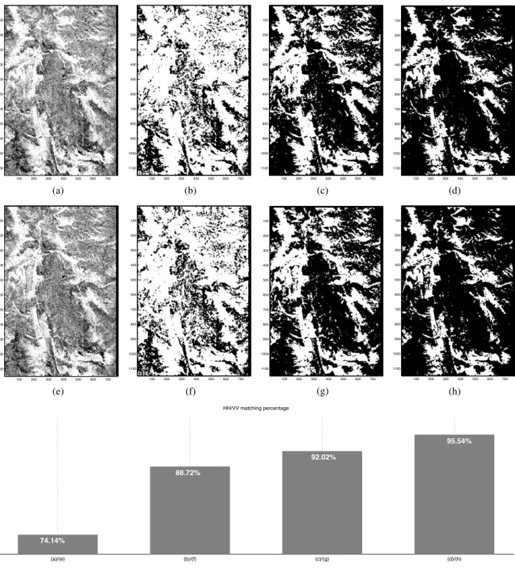 Fig. 8: The final wet snow binary maps comparison: binary map obtained after thresholding the ratio of input images (a) HH (e) VV; binary map obtained after thresholding the ratio of speckle (spatially) filtered input images (b) HH (f) VV; binary map